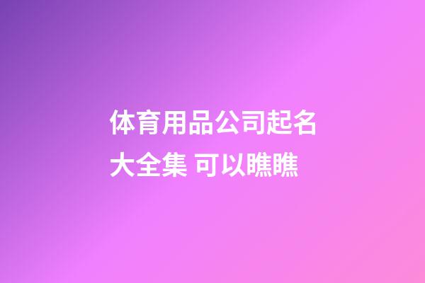 体育用品公司起名大全集 可以瞧瞧-第1张-公司起名-玄机派